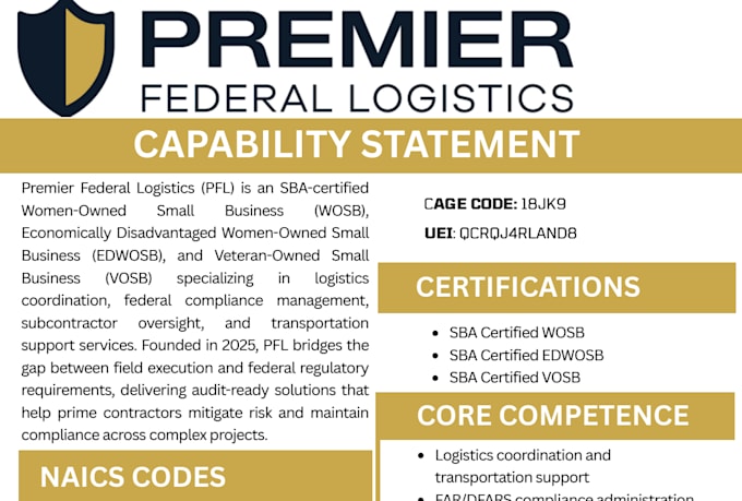 design a professional government capability statement